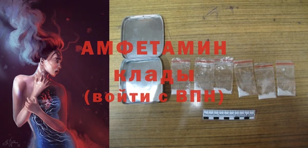 амф Новозыбков